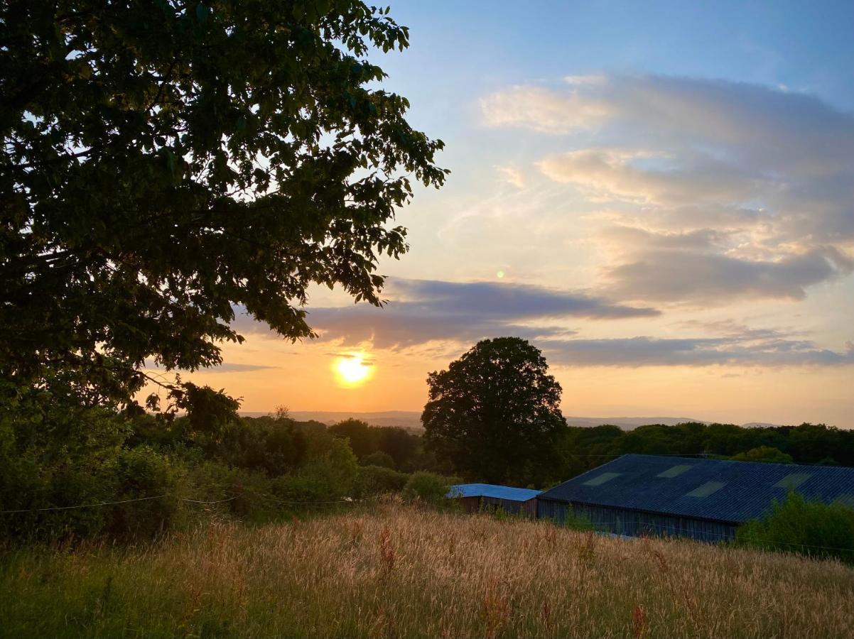 Cherry Tree Glamping Lodge Wellington  Dış mekan fotoğraf